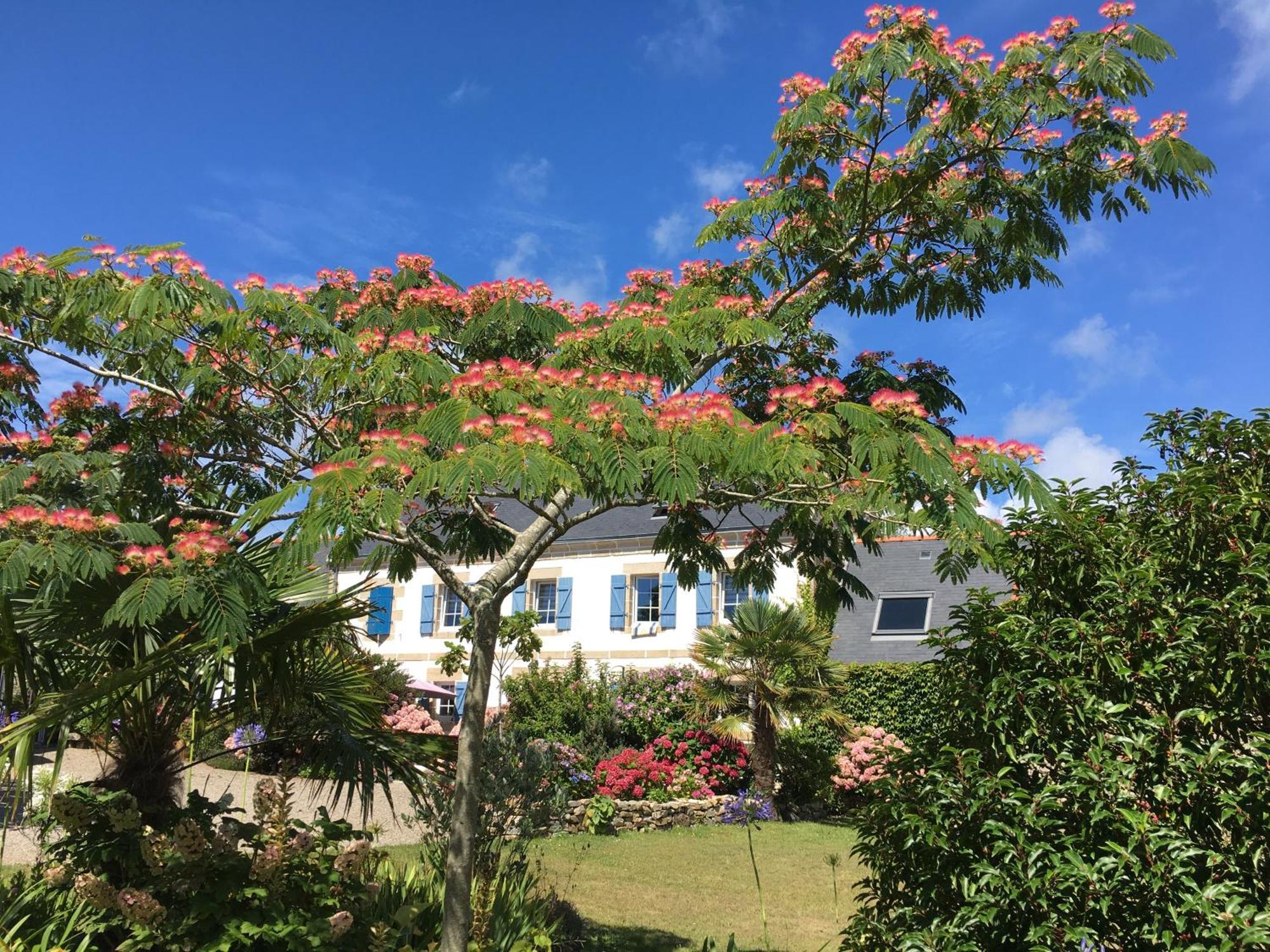 La Ferme De Kerivoas Bed & Breakfast Audierne Exterior photo